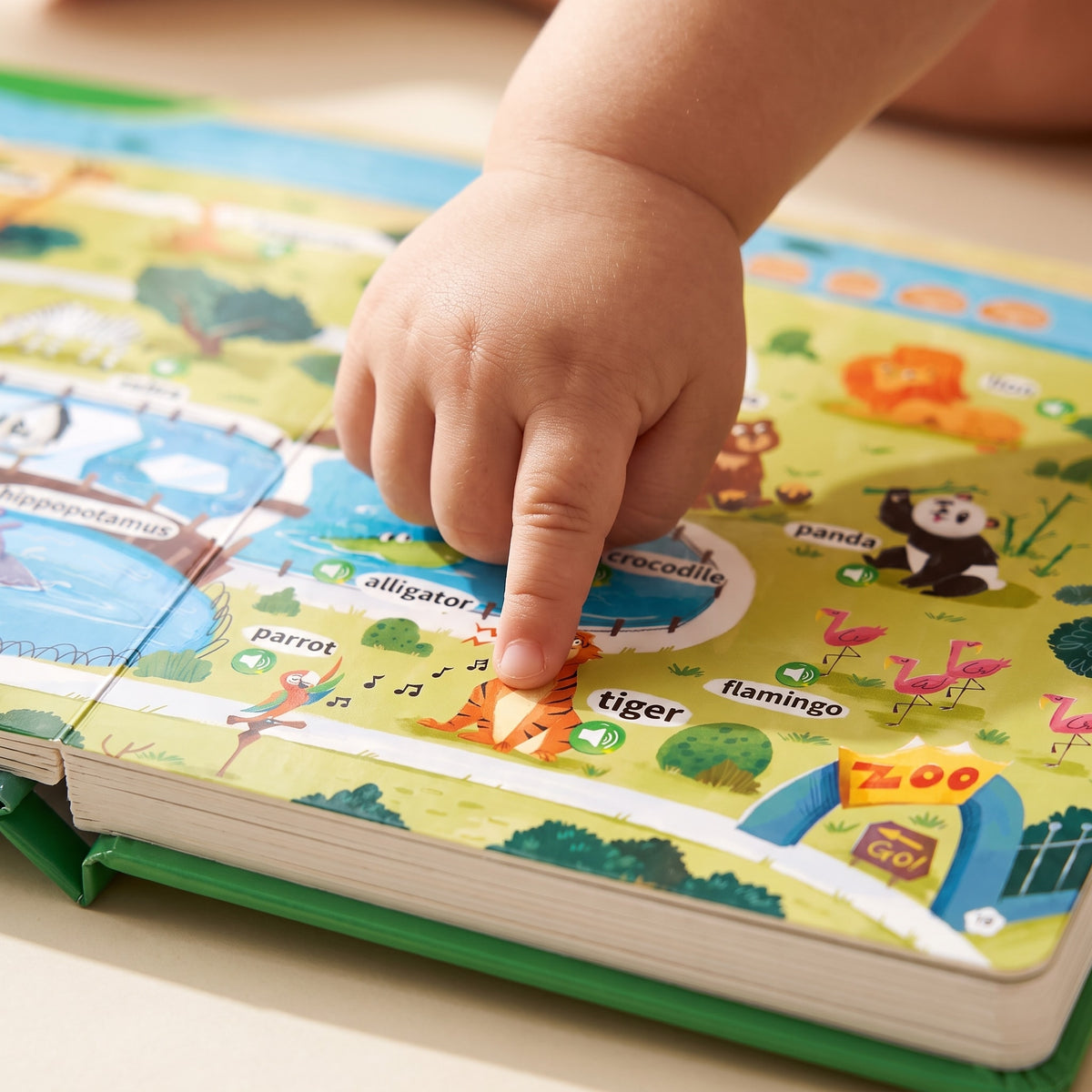 Close-up of a child's finger pressing a picture in the sound book to hear the word out loud